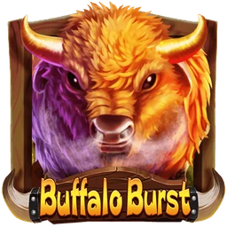 Buffalo Burst