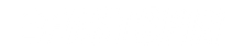Fastspin